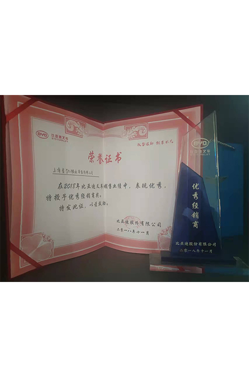 泰州市比亚迪2018优秀经销商